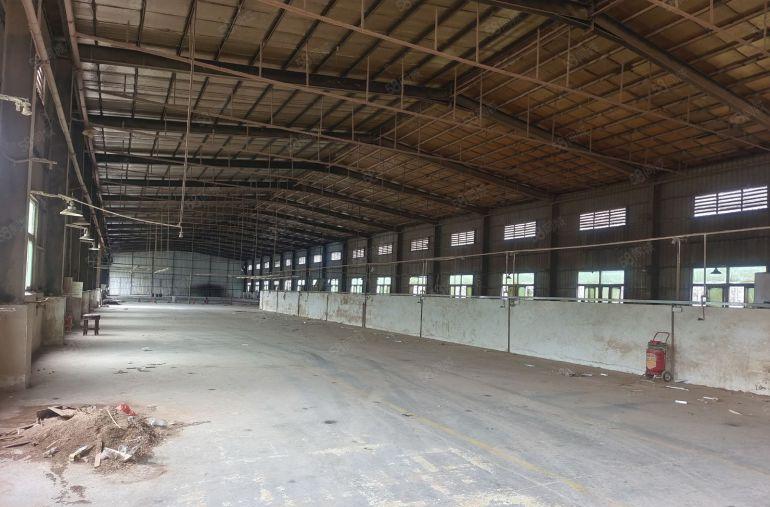 谢岗镇19块钱单一层独门独院厂房，滴水8米，空地2000平方