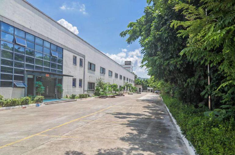 谢岗重工业单一层钢结构仓库厂房出租3000平方带牛角低价甩租