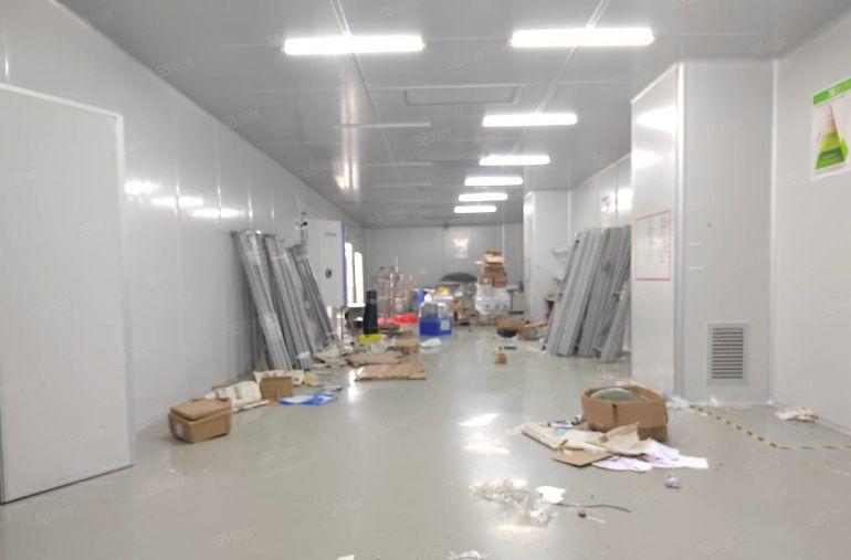 仲恺高新区陈江一楼标准厂房1250平，带前台精装修办公室