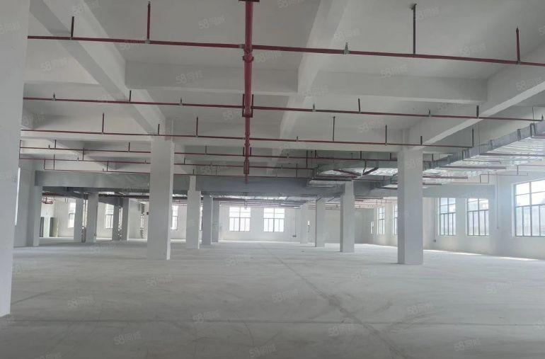 惠阳区平潭新出独门独院原房东31750平方红本厂房出租