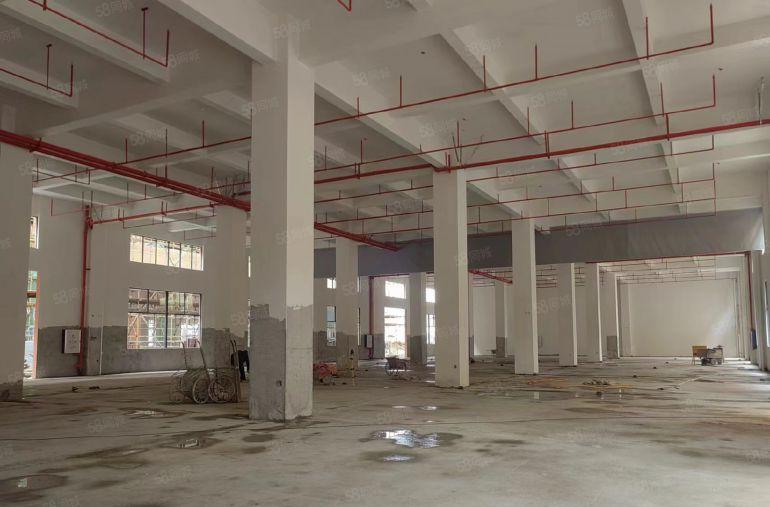 水口新区4500原房东全新红本食品厂自有厂房出租