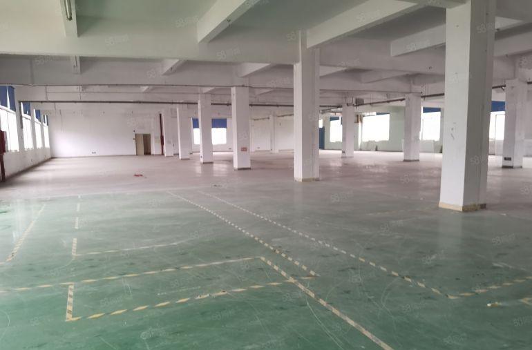 临深惠阳新圩工业区原房东红本厂房3500平出租可办环评易招工