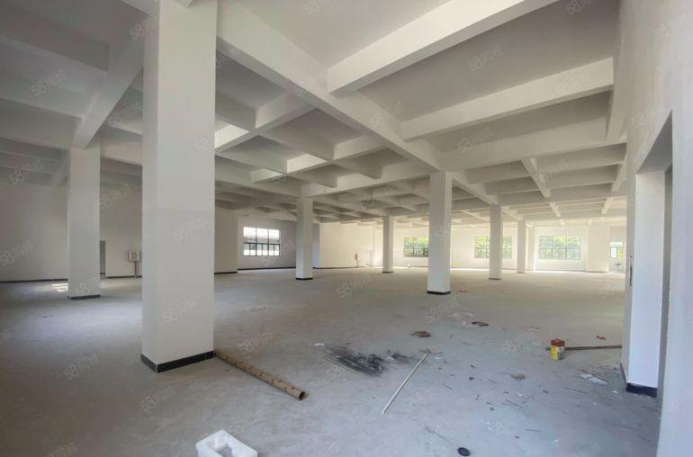 惠阳新圩原房东独院独栋4700平厂房周边无居民不限行业