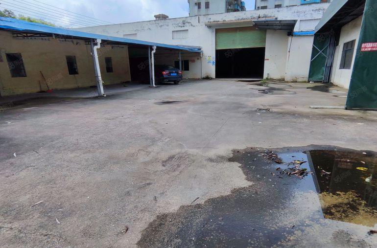 惠阳秋长12元独院钢构厂房3000平