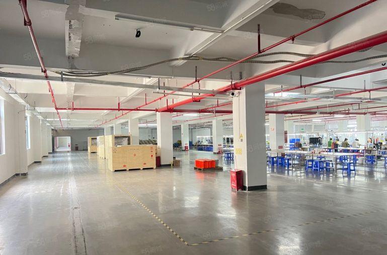 10元！新圩塘吓工业区楼上2000平精装修厂房仓库低价出租