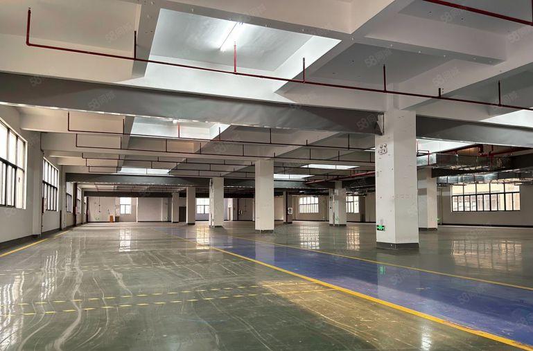 惠州秋长白石伯恩厂旁原房东独院11200平米厂房仓库低价出租