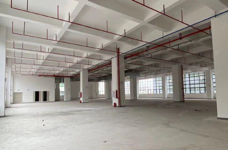 低价出租秋长白石独院新出两千平原房东红本厂房空地大可办环评