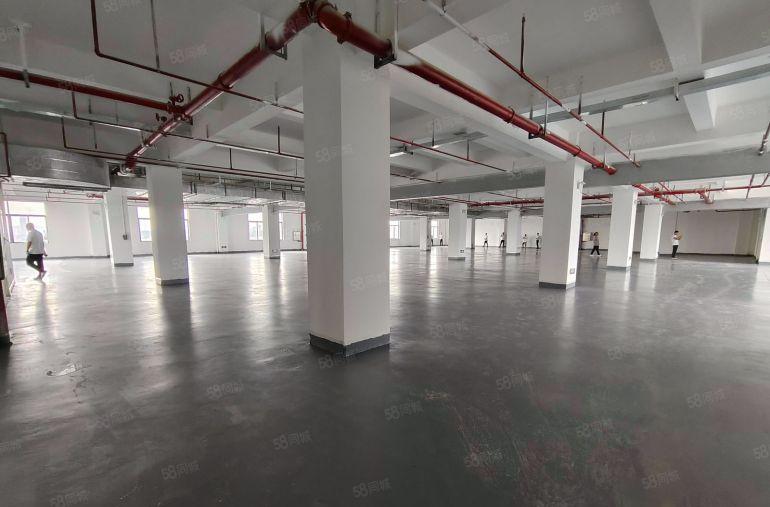 惠阳秋长原房东全新厂房1600平方带全新地坪漆可整租可分租。