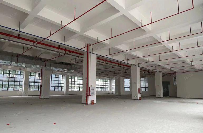 低价出租秋长白石独院新出两千平原房东红本厂房空地大可办环评