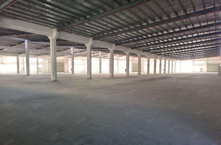 新圩原房东独栋钢构出租11893平形象高大上有红本