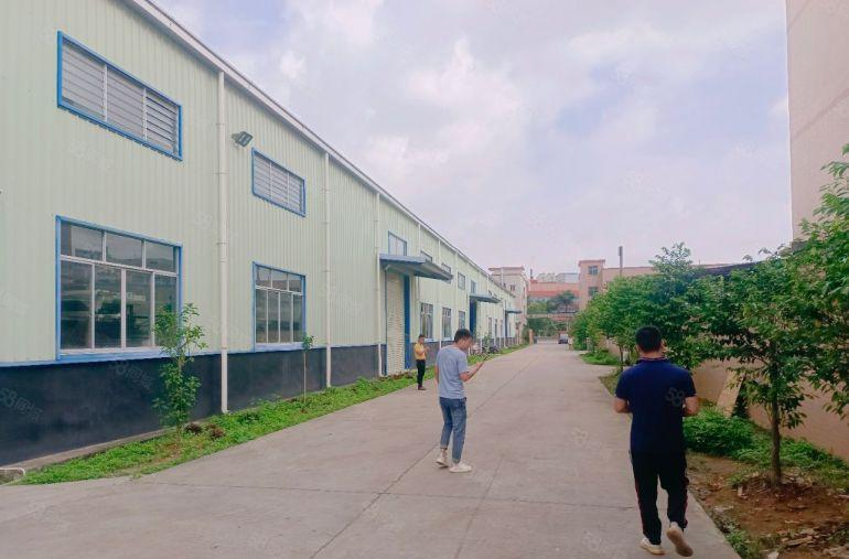 博罗龙溪国道边独院钢构出租滴水9米证件齐全周边无居民15元