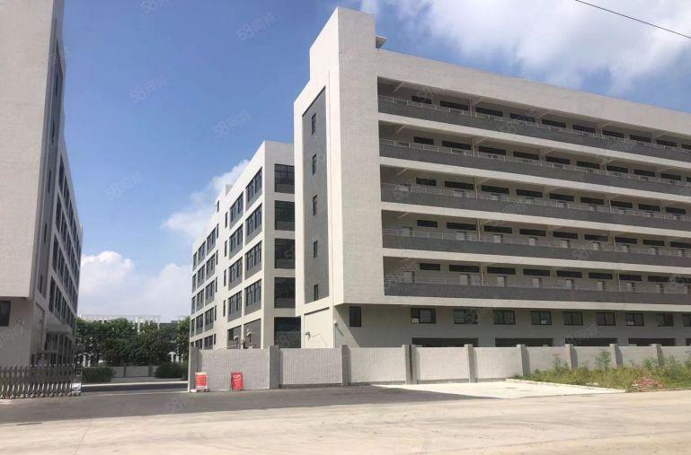 石湾镇标准厂房招租19300平方大小任意分道路宽敞