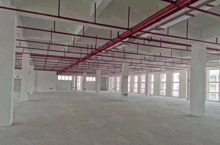 惠州市博罗县龙溪镇电镀基地附近工业园区厂房招租，300平米起