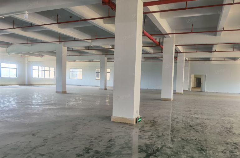 博罗罗阳街道形象好工业厂房出租面积20000平可分租