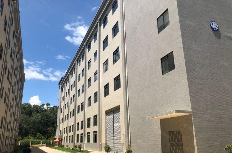 博罗县柏塘镇新出20000平米独院厂房