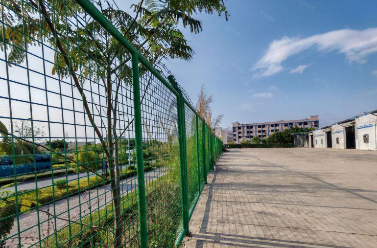 博罗龙溪原房东独门独院单一层钢构，高度10米