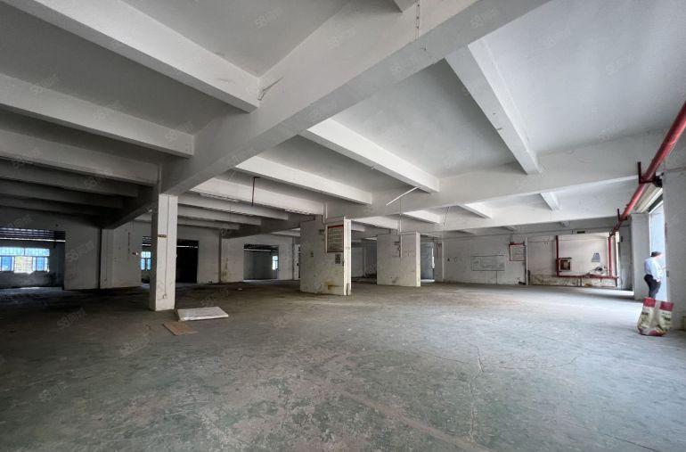 博罗园洲原房东红本独门独院3600平方低价厂房出租空地大免佣