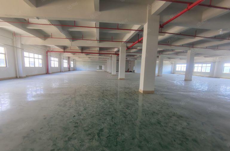 博罗罗阳街道形象好工业厂房出租面积20000平可分租