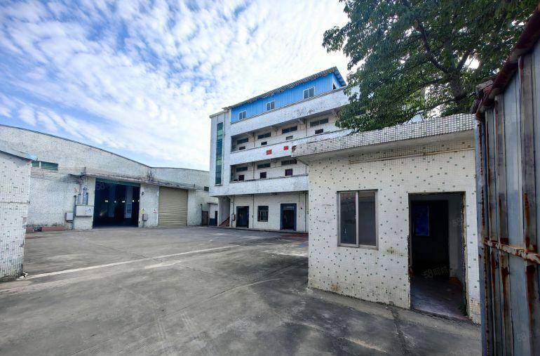 园洲镇独院钢构单一层厂房2800平米，宿舍600平米出租