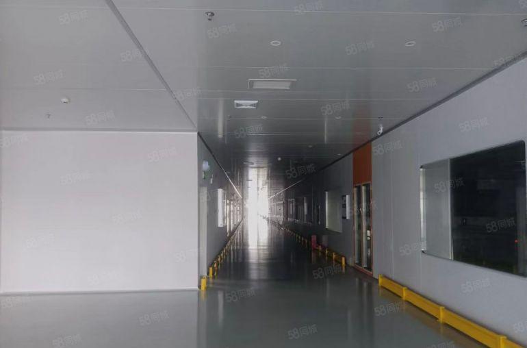 石湾原房东红本厂房出租12720平方，正规工业区内，可办环评