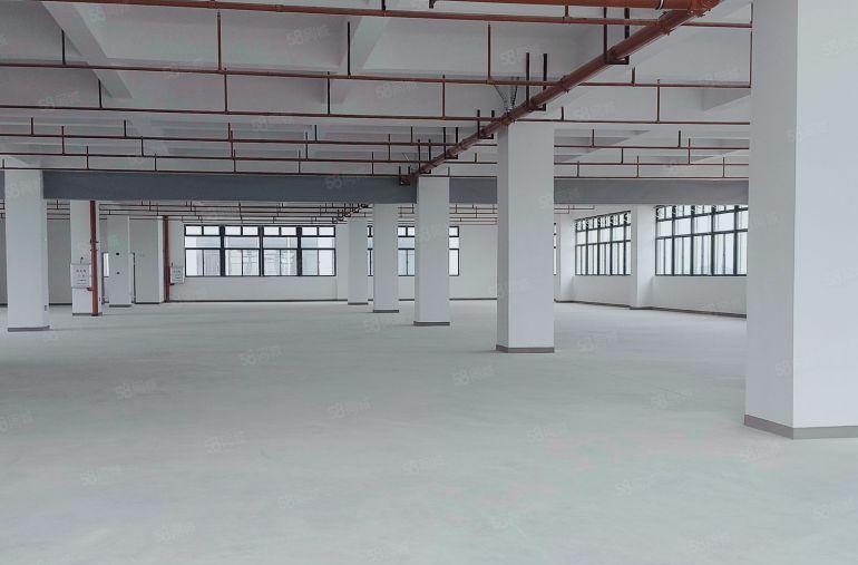 惠东白花10000平方独院厂房出租，一楼层高9米，