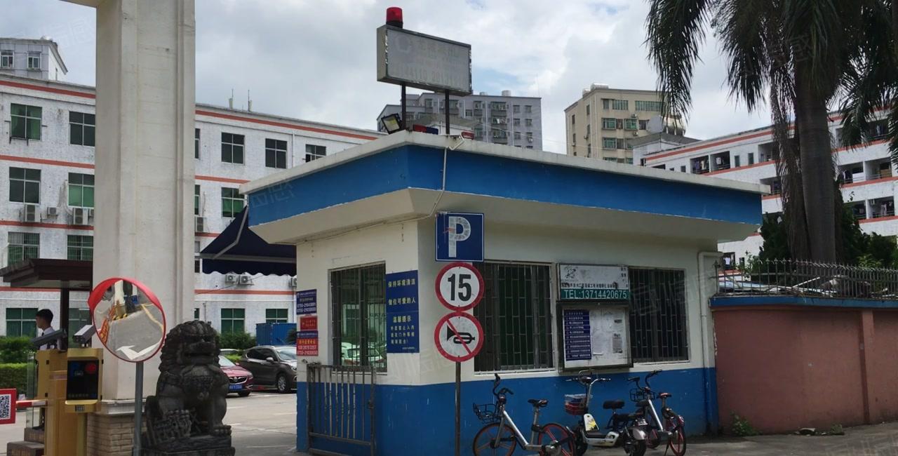 龙华汽车站左侧1000平米精装修办公厂房业主直租，易招工