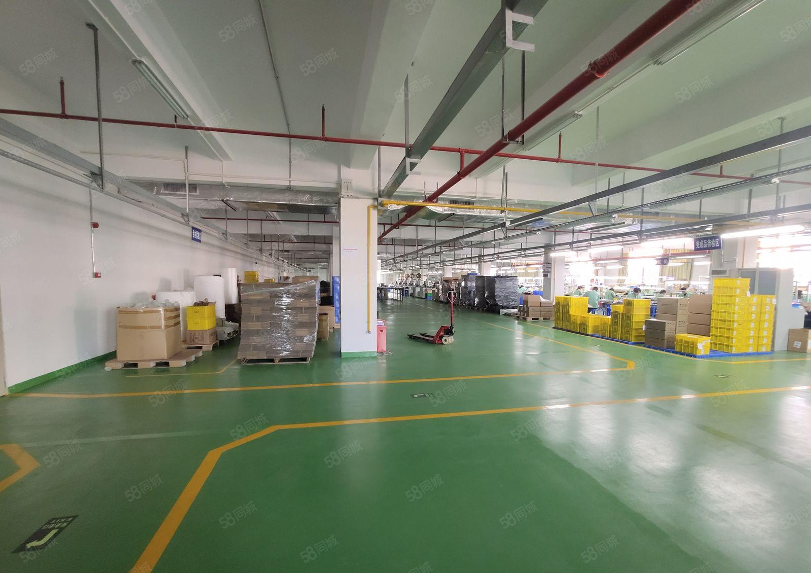 出租|龙华观澜黎光楼上3300平整层精装修全新地坪漆厂房出租