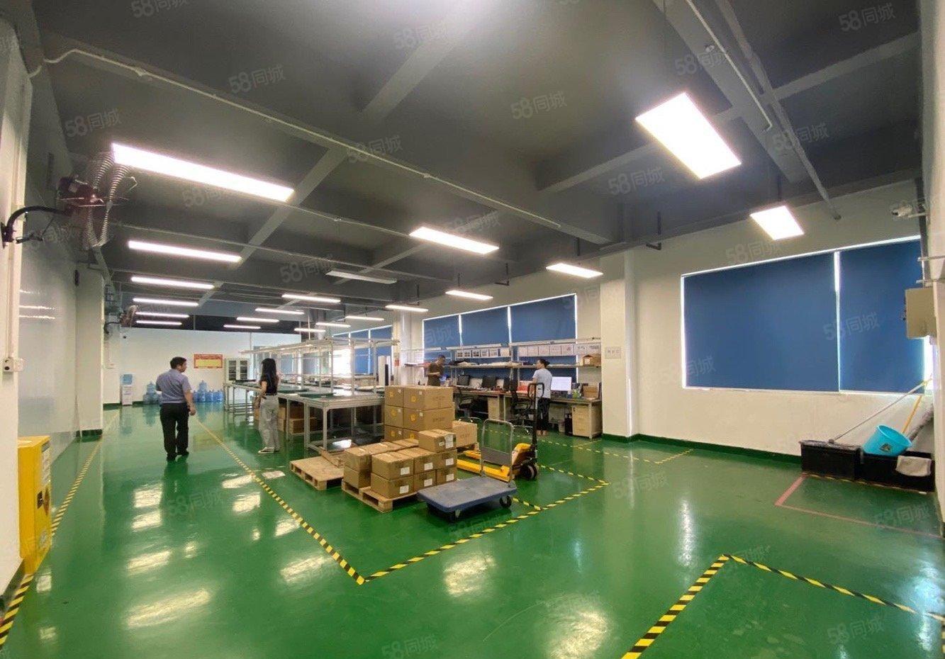 观澜低价1000平精装一楼二楼仓库出租办公室无尘车间厂房出租