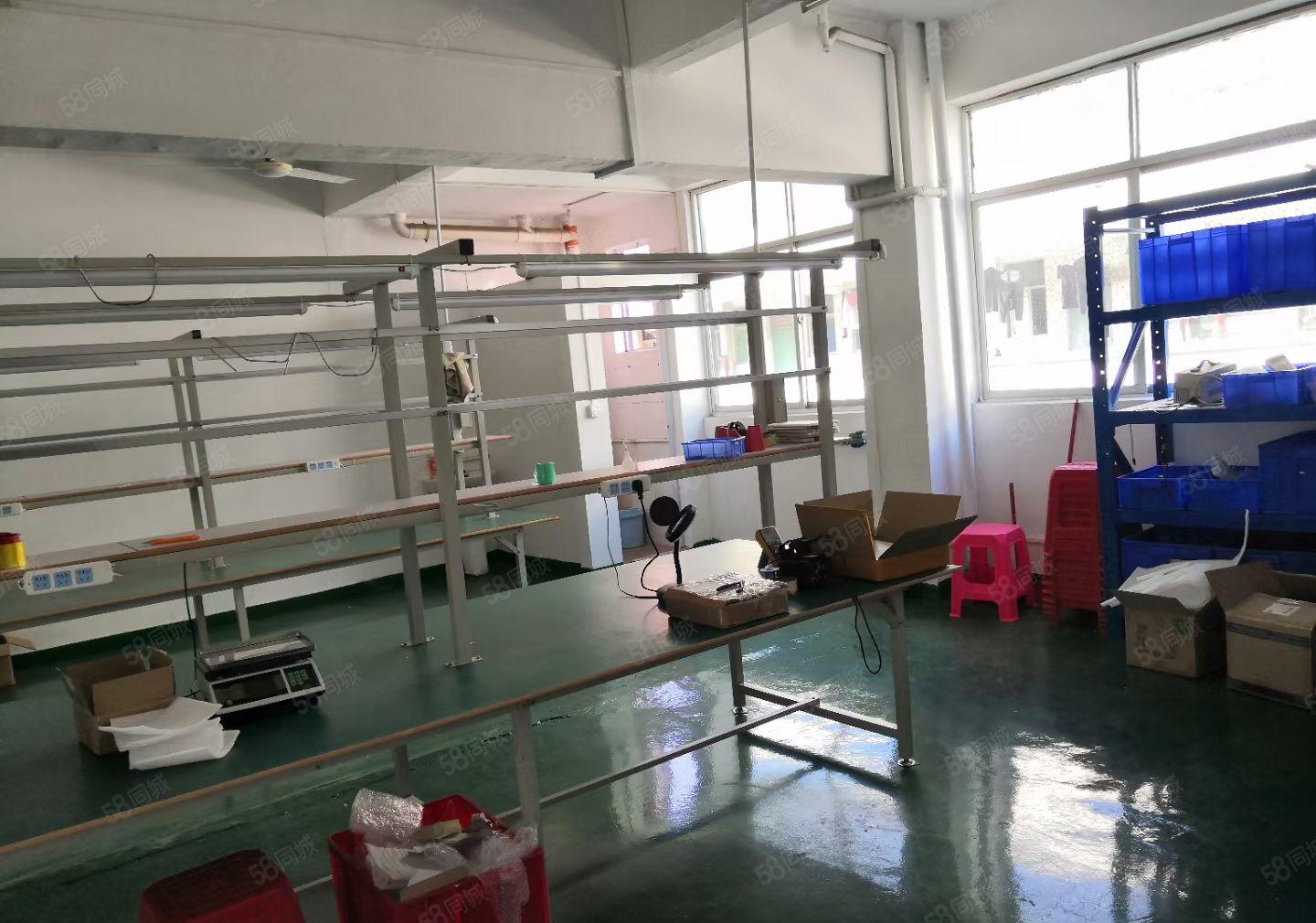 大浪厂房22元180平200平260平280平450平招租