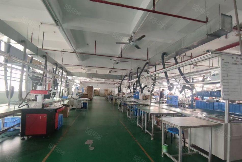 大浪1600平26元无公摊房东直租