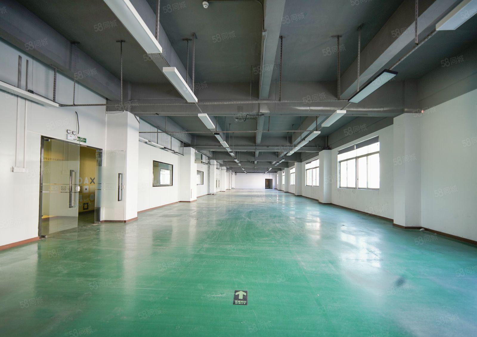 龙华汽车站左侧1000平米精装修办公厂房业主直租，易招工