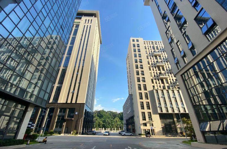 企业补贴！大浪高新红本产业园100平起租！停车方便好招工！