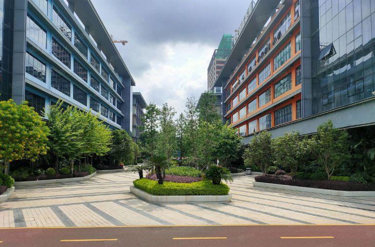 300平起租 观澜红本厂房出租整层2000平可分租 仓库出租