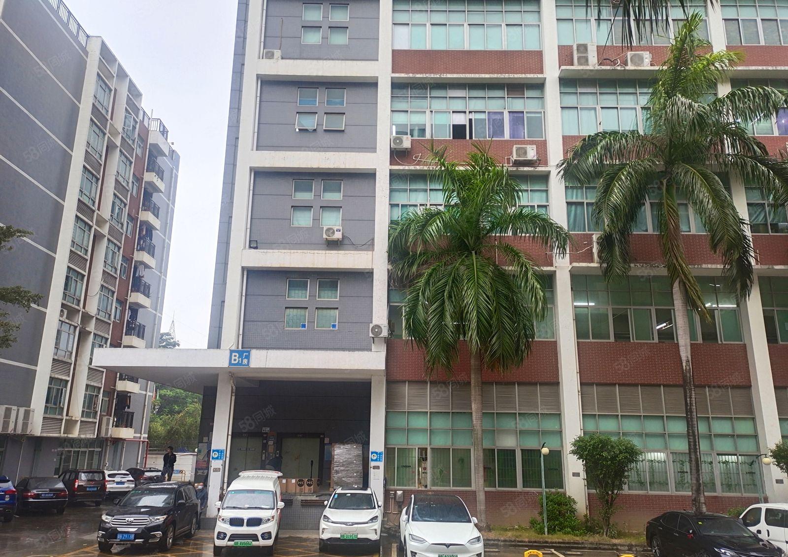 大浪康发科技园，精装修厂房400平（有图）30元每平出租