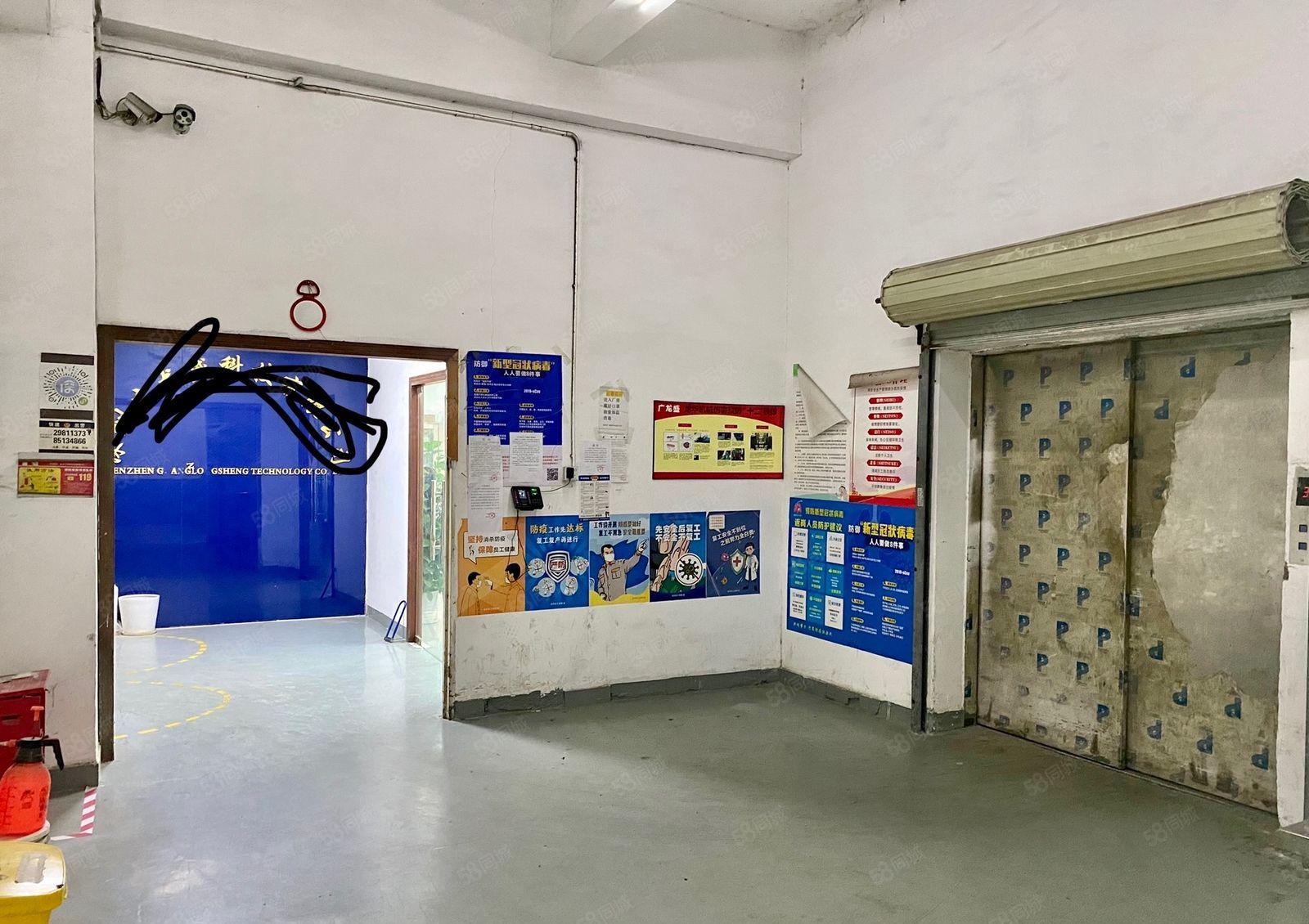 观澜厂房新田低价出租原房东，新出楼上2000平，大型园区。