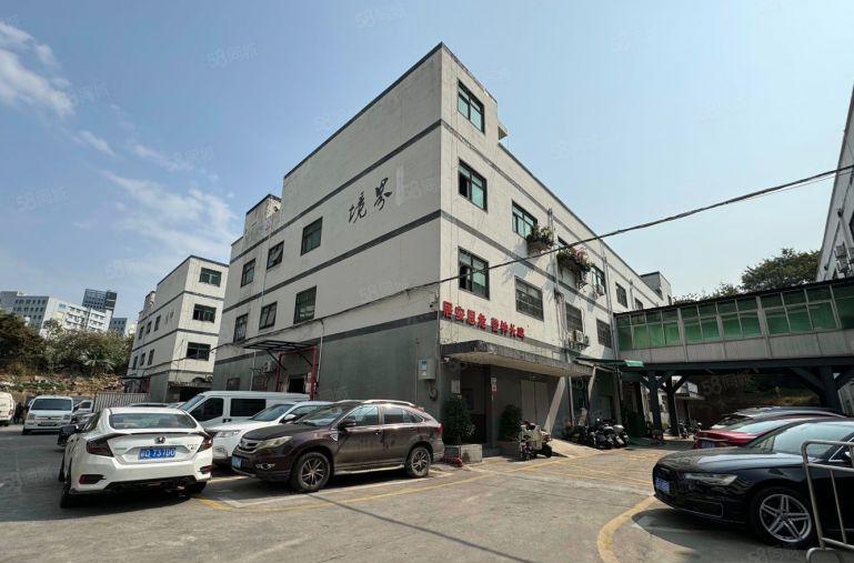 观澜新田原房东100至300平厂房出租 电商园区