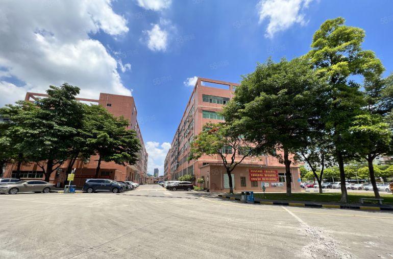 18元龙华大浪原房东工业区新出1000平精装办公仓库厂房出租