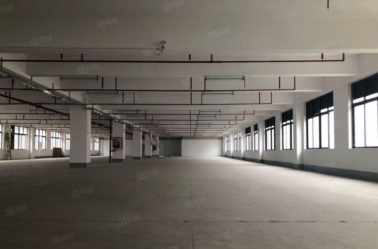 （出租）龙华清湖一二楼4000平带办公厂房出租，可生产可办公