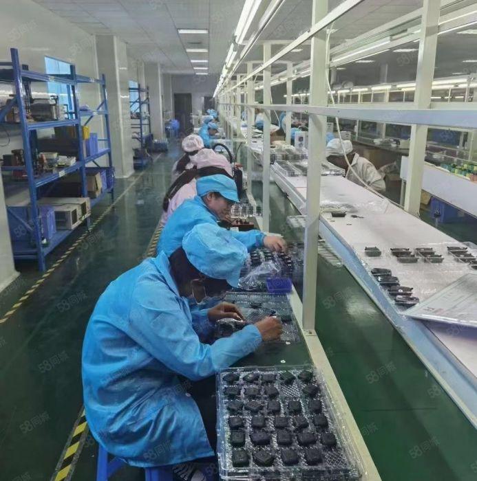 观澜创意园厂房1000平带办公精装修仓库电商培训分租低价出租