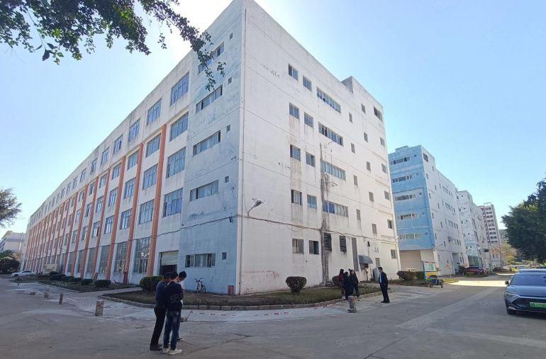 200平起租 观澜原房东红本工业园2000平一楼厂房低价出租