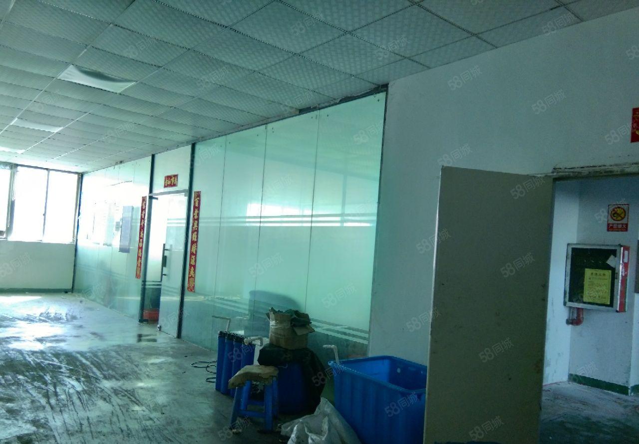 大浪原房东新出楼上整层1200平实用面积1100平价格实惠