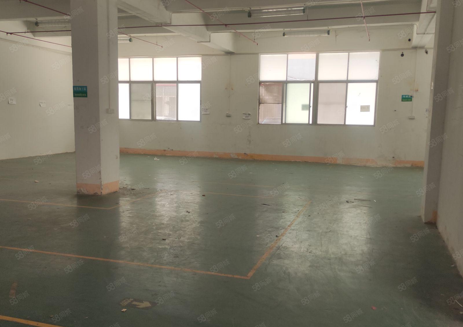 龙华天虹附近老围工业区一楼475平米厂房仓库出租