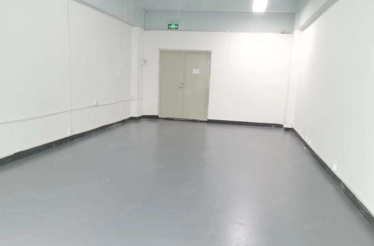 龙华大浪南路河背工业区113平大开间，精装修，单价25