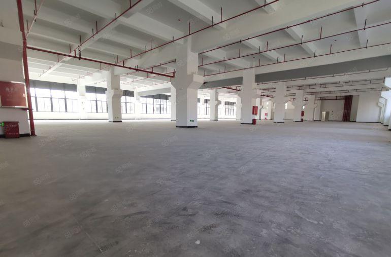 深圳石岩宝安出租原房东独门独院一楼4500平办公仓库厂房分租