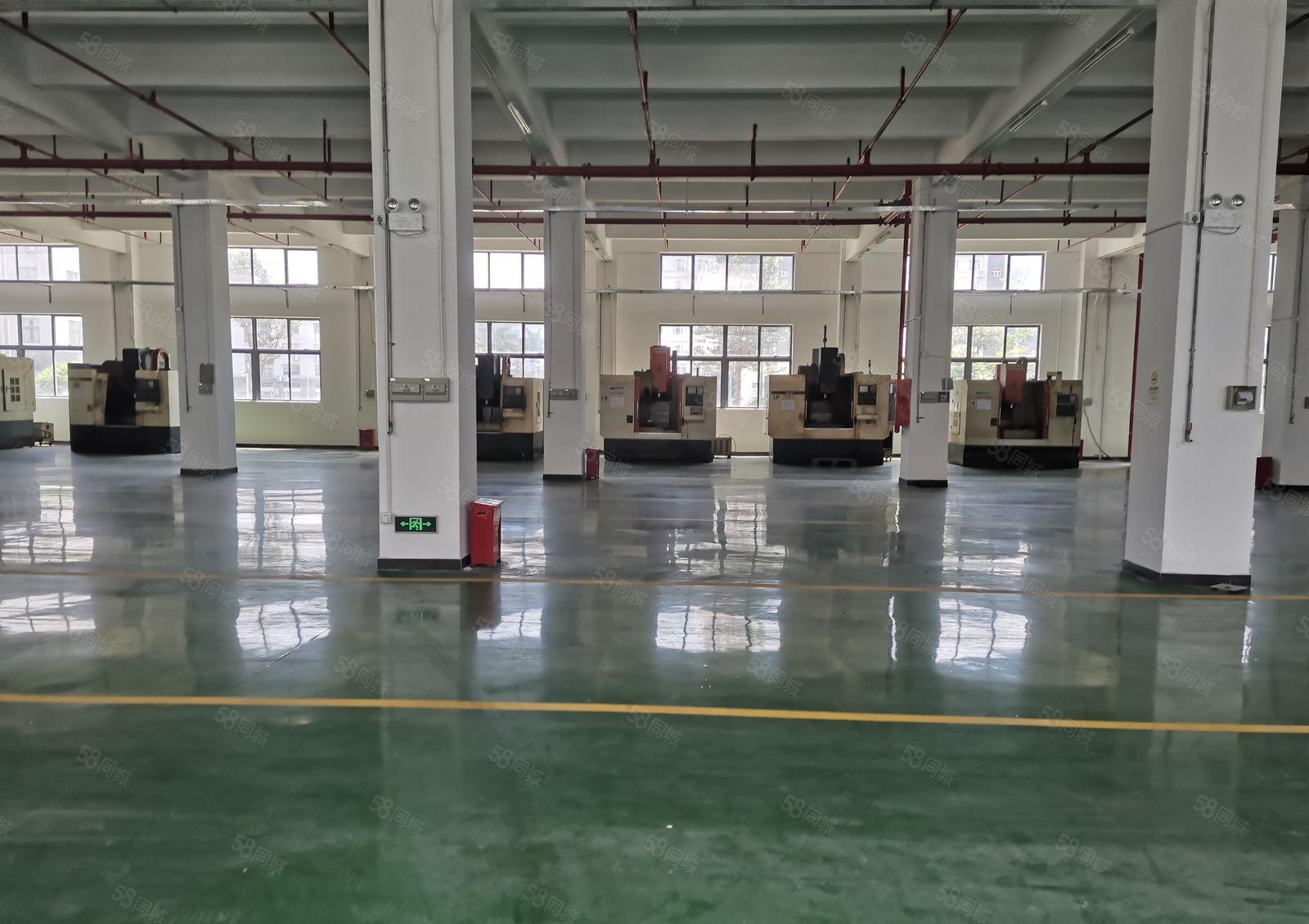 龙华大浪工业园原房东红本1楼2000平方带装修水电齐全可分租