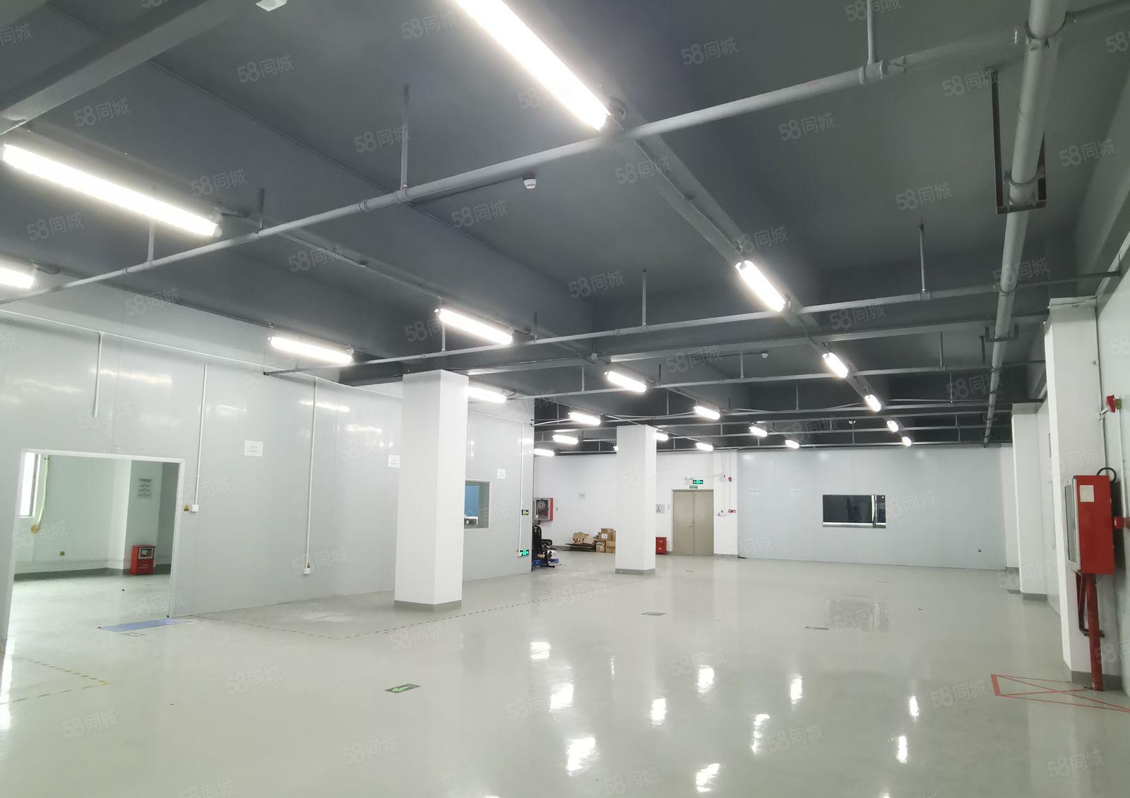 龙华观澜清平高速出口楼上整层1300平米带装修厂房