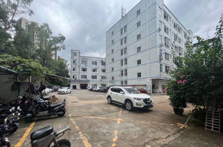 龙华商业中心1000平个人精装修全新地坪漆办公室仓库厂房出租