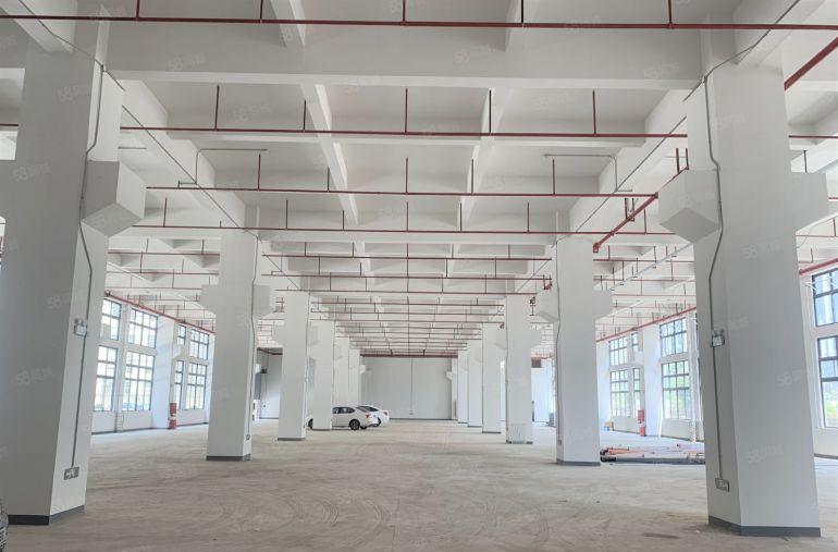 龙华大浪原房东一楼实际面积出租1500平可分租好进大车