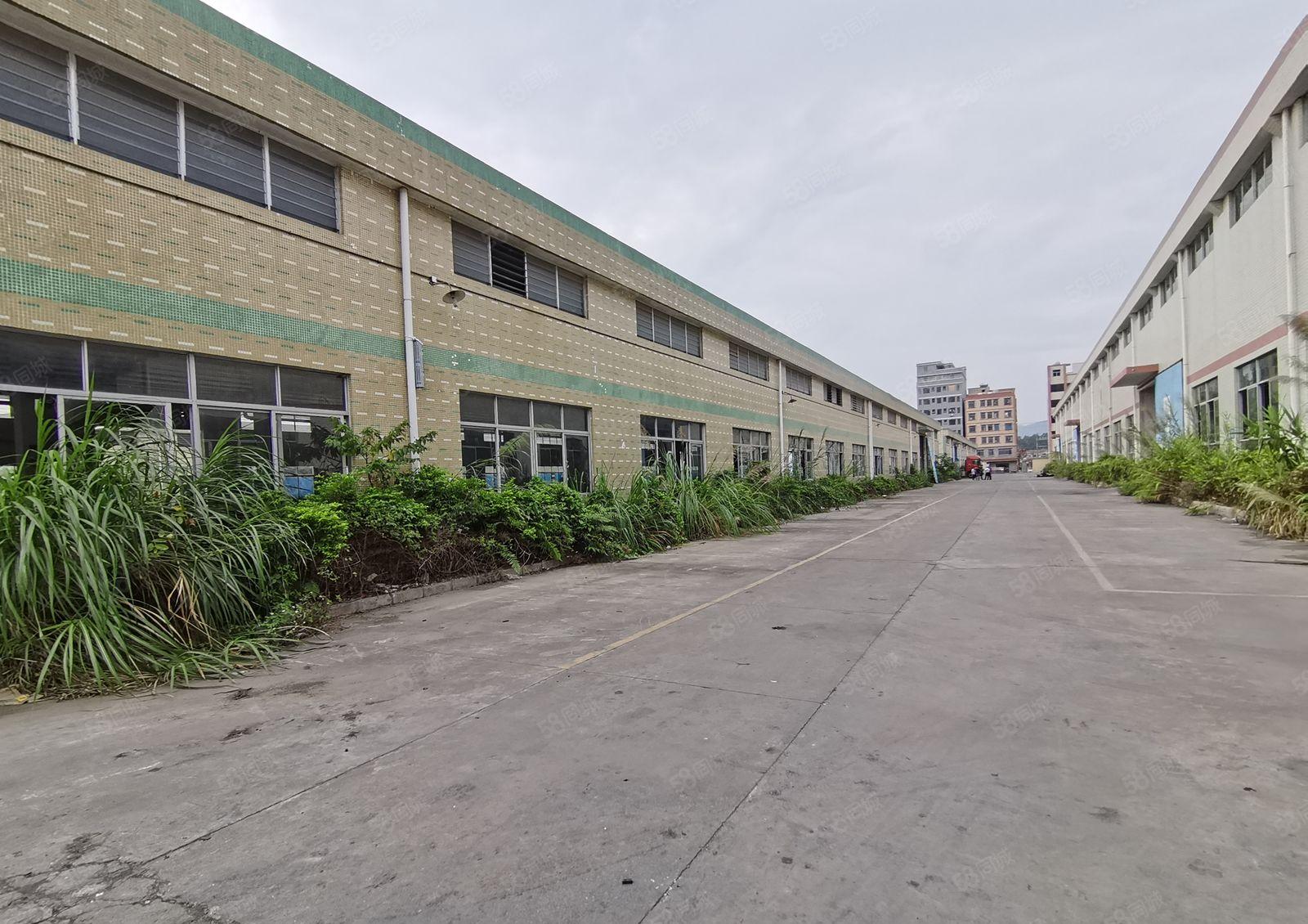 龙华大浪主干道旁！园区2300平米整层出租层高六米原房东厂房
