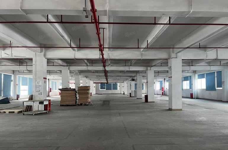 30元原房东花园式独门独院9600平，500平起可分组空地大